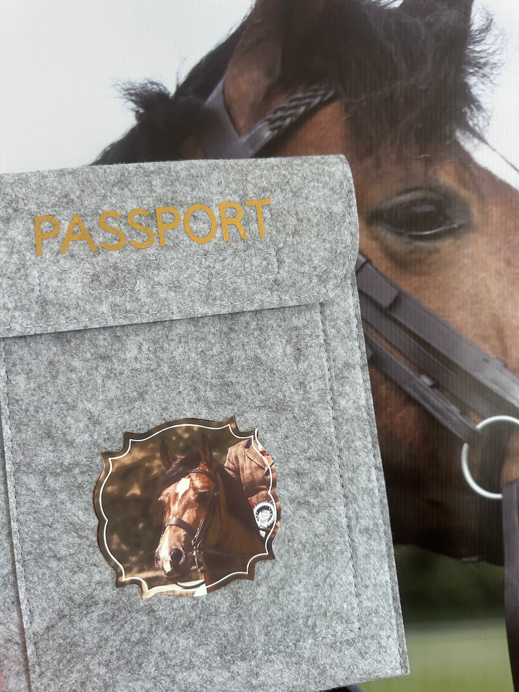 Passport Covers